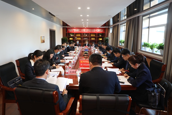 满怀豪情赴盛会，携手共谱新篇章——各代表团热烈讨论第三次党代会工作报告